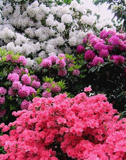 Bluebush Cafe - C Tourism 12