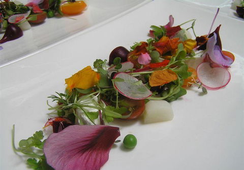 Bluebush Cafe - C Tourism 13