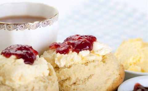 Bluebush Cafe - C Tourism 19