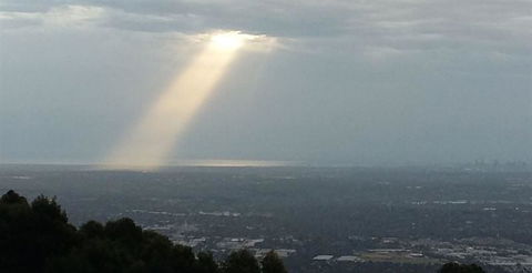 Bluebush Cafe - C Tourism 26