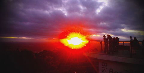 Bluebush Cafe - C Tourism 28