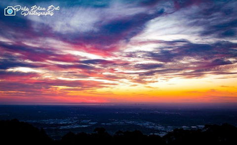 Bluebush Cafe - C Tourism 29