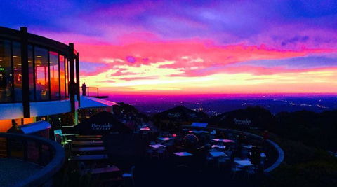 Bluebush Cafe - C Tourism 31