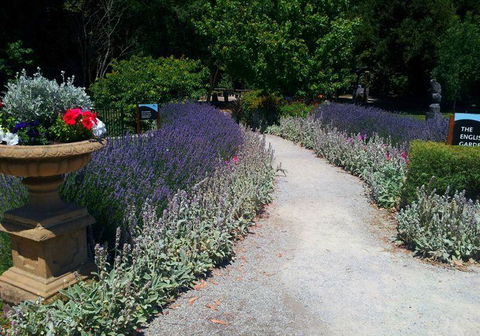 Bluebush Cafe - C Tourism 6