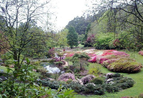 Bluebush Cafe - C Tourism 7