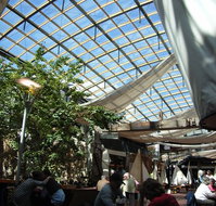 Jam Packed - C Tourism