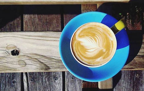 Lush Coffee Lounge - C Tourism 16