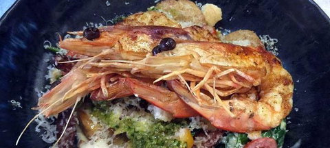 Lupo - C Tourism 5