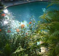 Avoca Beach Hotel - C Tourism