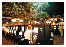 Mount Isa Irish Club - C Tourism 3