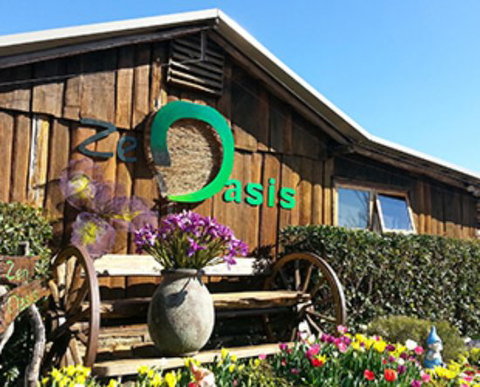Zen Oasis Vegetarian Restaurant - C Tourism 0