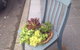 The Coast Cafe - thumb 1