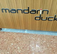 Mandarin Duck - C Tourism