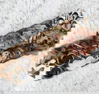 Stefano Lubiana Wines - C Tourism