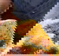 Brighton's Best Bakehouse - C Tourism