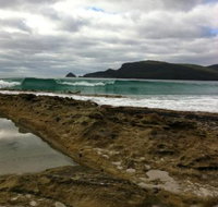 Bruny Island Berry Farm - C Tourism