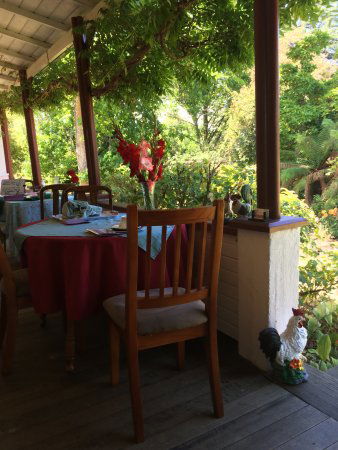 Lazy Teas - C Tourism 0