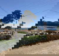 Penguin  Pardalote Coffee House - C Tourism