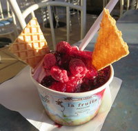 The Pondering Frog - C Tourism