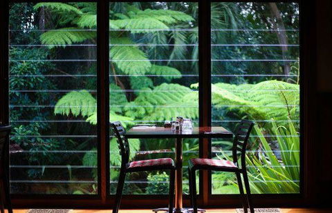 Meze Me Grove - C Tourism 18