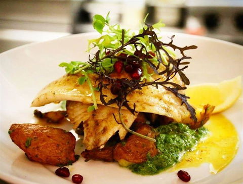 Meze Me Grove - C Tourism 4