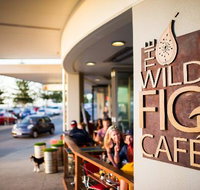 The Wild Fig - C Tourism