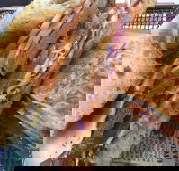 Haynes Bar and Grill - C Tourism