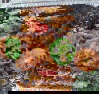 Cairo Cafe - C Tourism