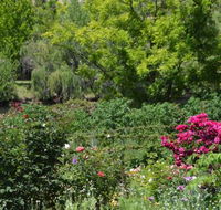 Berry Delightful - C Tourism