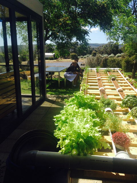 Petra Olive Oil Shed Door Tasting Room & Farm Shop - C Tourism 1