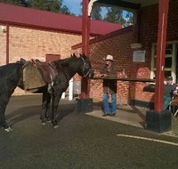 Premier Hotel - C Tourism