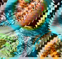 Black Bird - C Tourism