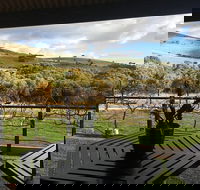 Heard It on the Grapevine - C Tourism