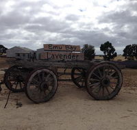 Emu Bay Lavender - C Tourism