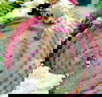 Thunderbird Kitchen - C Tourism