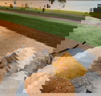 Barmera Chicken and Seafood - C Tourism