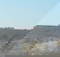 Moonlite Cafe - C Tourism