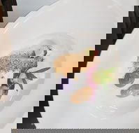 Oliver's Bar  Bistro - C Tourism