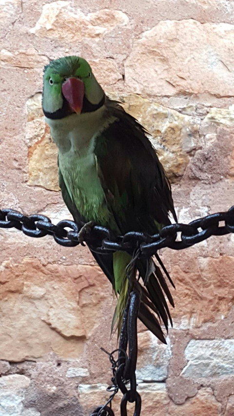 Quorn Cafe - C Tourism 3