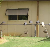 Sandy Grove - C Tourism