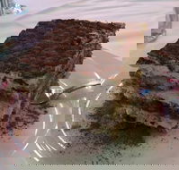 La Trattoria - C Tourism