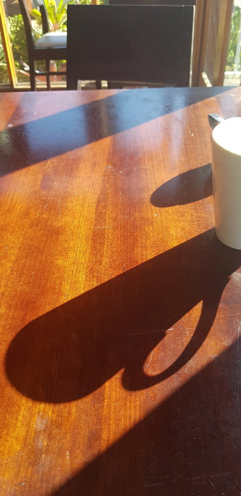 Nouveau - C Tourism 1