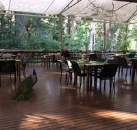 The Restaurant at Cedar Park - C Tourism