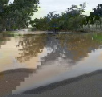 Menzies Steakhouse - C Tourism