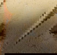 Sugarloaf Baking Co - C Tourism