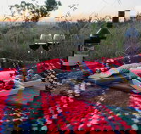 Bunnyconnellen Olive Grove  Vineyard - C Tourism