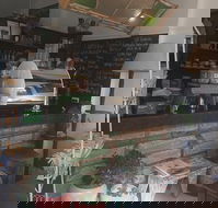 Gypsy N Folk - C Tourism