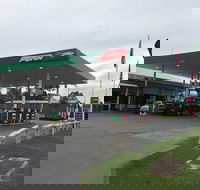 Puma Aratula - C Tourism