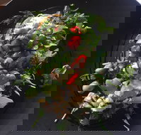 8days Cafe - C Tourism