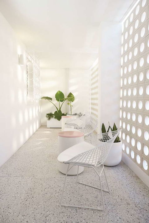 Adina Apartment Hotel Chippendale - C Tourism 3